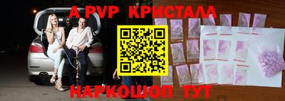 гашик Гатчина