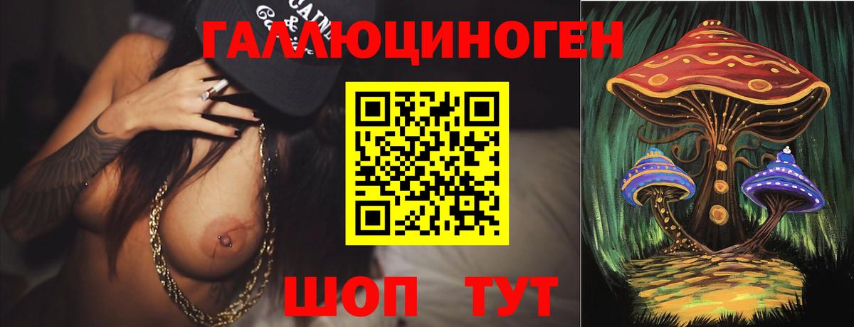 Галлюциногенные грибы Psilocybine cubensis  Псилоцибиновые грибы Cubensis  Вход с VPN  Нурлат 